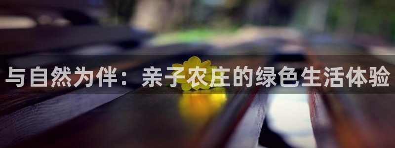 天辰娱乐小姐