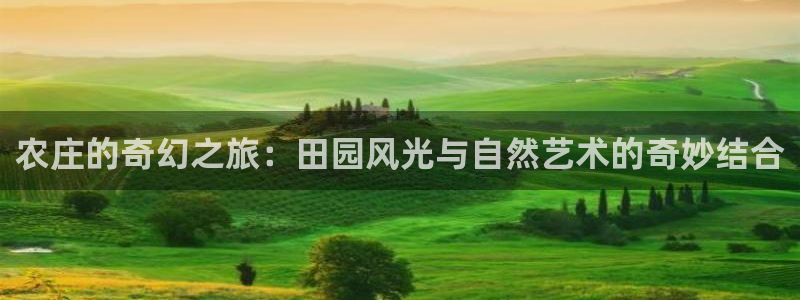 天辰娱乐待遇