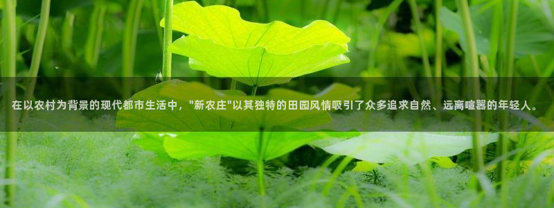 天辰娱乐股东