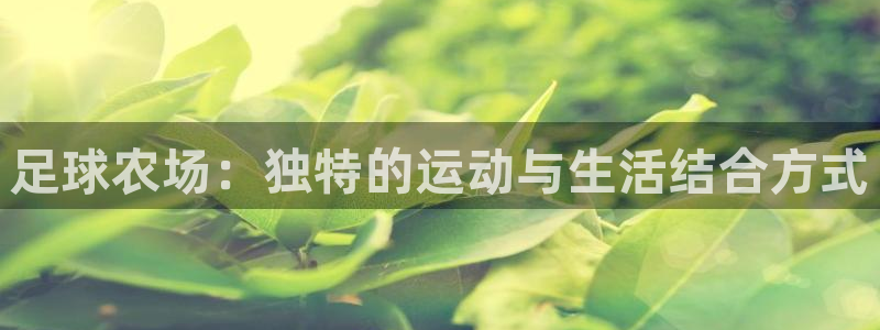 天辰娱乐557448