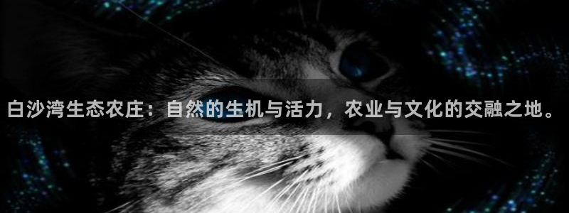 天辰平台娱乐