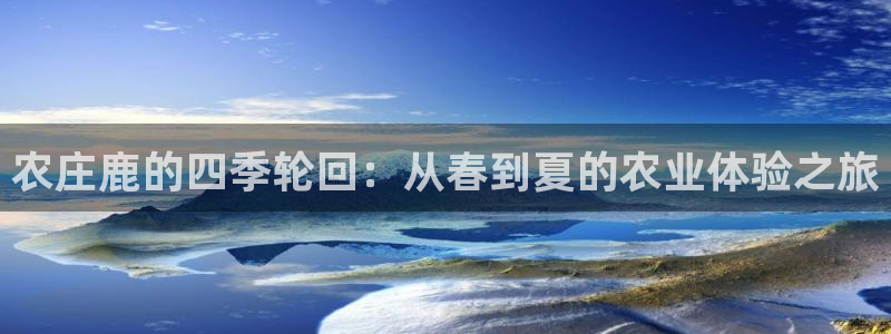 天辰娱乐平台靠谱么