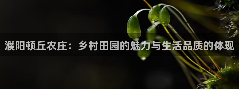 腾讯天辰娱乐