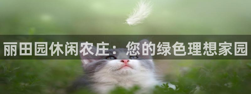 天辰娱乐下载地址