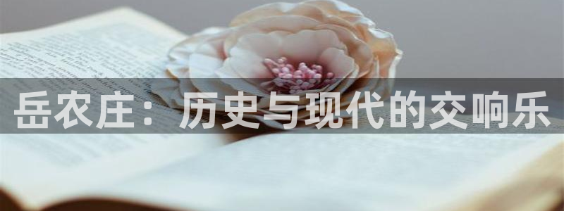天辰娱乐电话