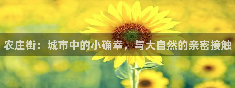 天辰娱乐连接