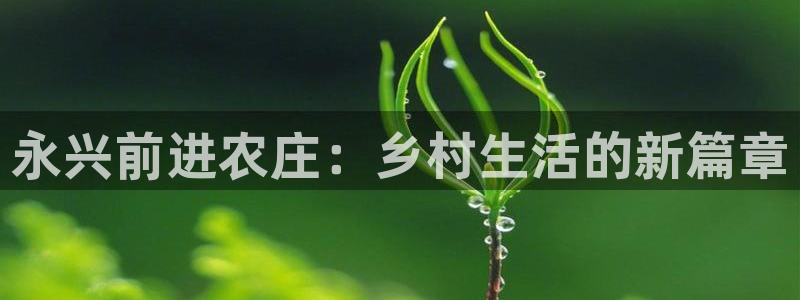 天辰娱乐十分彩