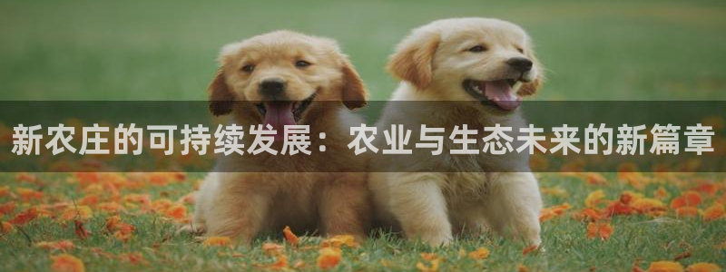 天辰娱乐天辰注册登录