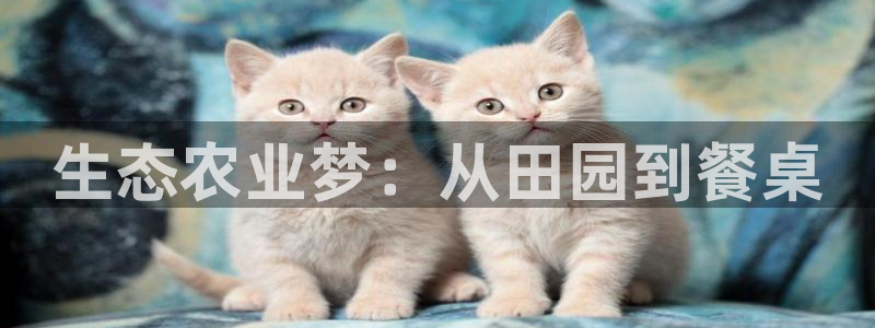 天辰娱乐新