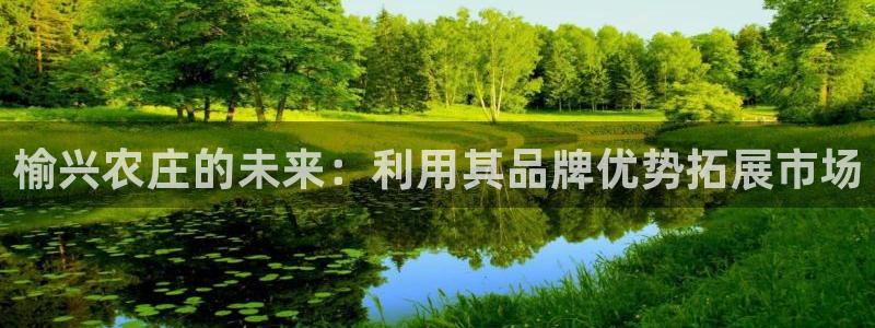 天辰娱乐下载