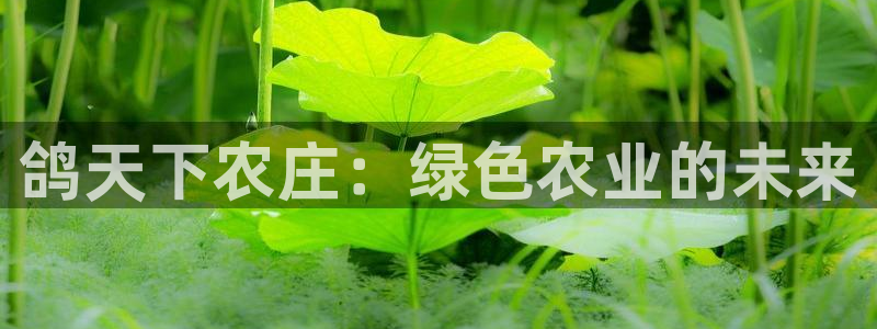 天辰娱乐怎么样