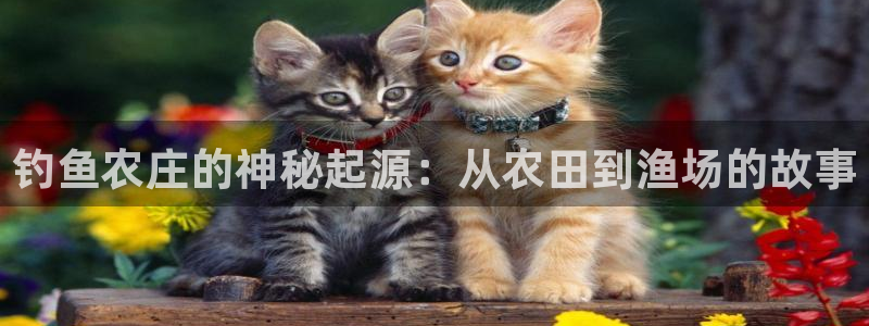 天辰 娱乐