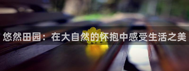 天辰娱乐 44516
