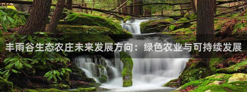 天辰臣娱乐