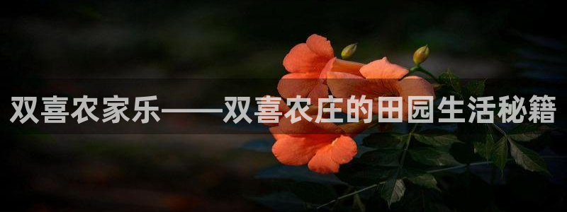 天辰娱乐登陆平台