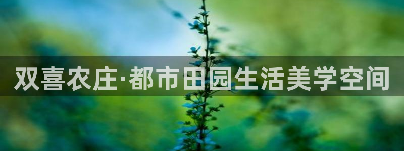 天辰娱乐好吗