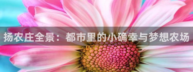 天辰彩票娱乐