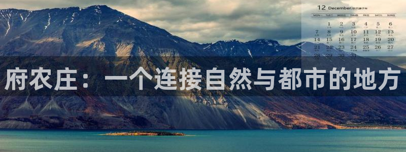 天辰娱乐平台地址在哪里