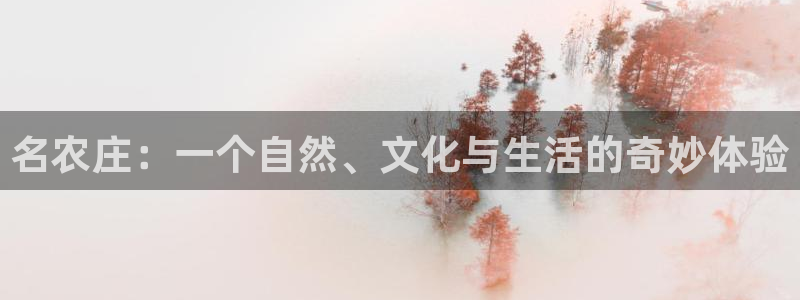 娱乐ktv天辰