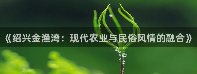 天辰娱乐公司