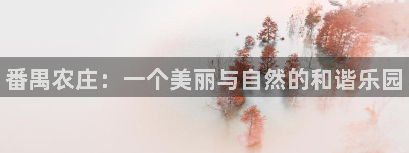 天辰娱乐公司