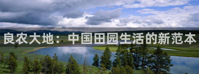 天辰娱乐论坛