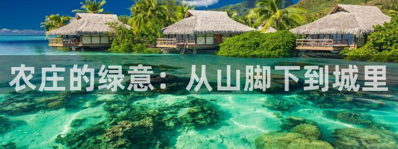 天辰娱乐代理