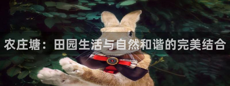 天辰娱乐官方