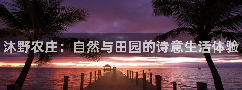 天辰娱乐平台app下载