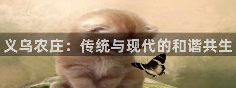 天辰娱乐注册登录