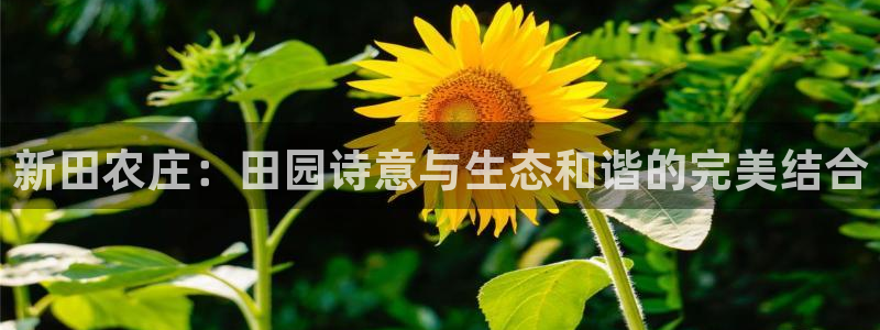 天辰娱乐ttf