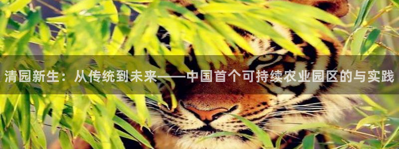 天辰宝娱乐