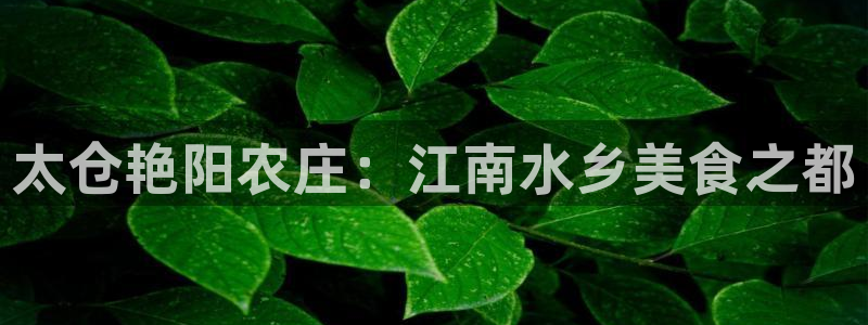 天辰娱乐 728567