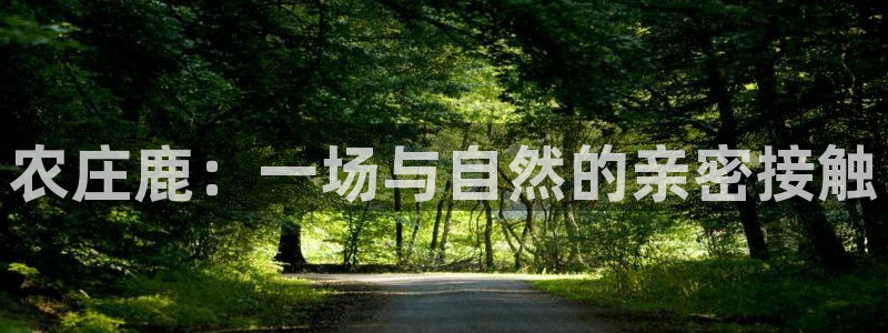 天辰说娱乐