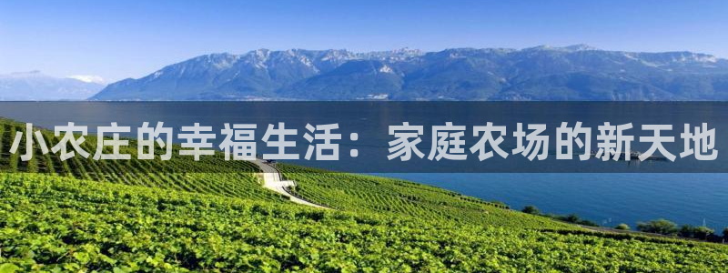 天辰娱乐指定