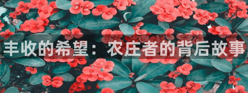 天辰娱乐说