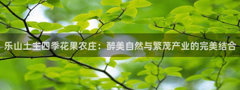 天辰娱乐53551
