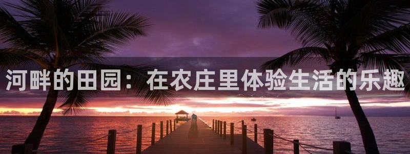 南充天辰娱乐