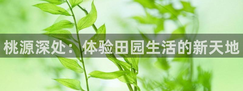 天辰娱乐 . 鱼刺