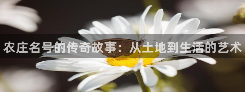 天辰娱乐-q