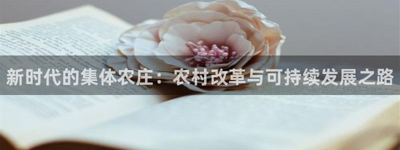 天辰娱乐1956