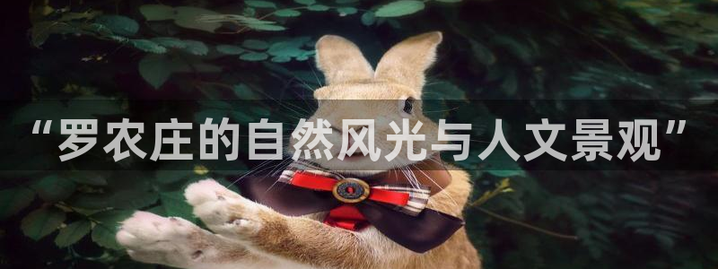 天辰娱乐平台安全吗