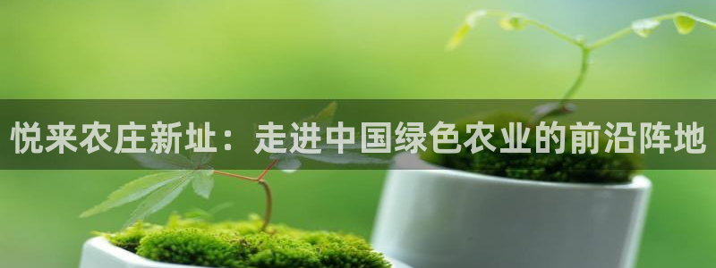 天辰娱乐代理