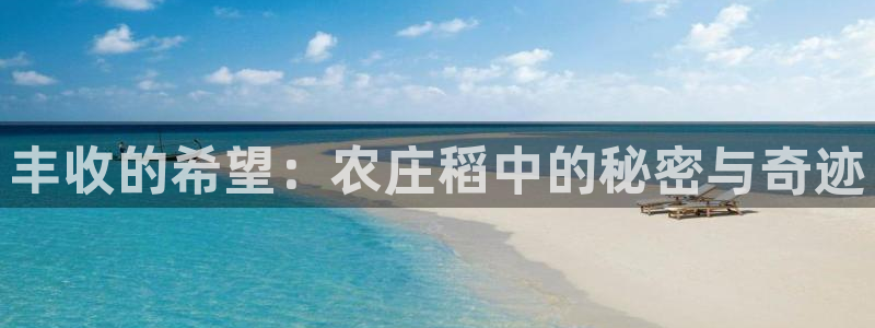 天富天辰娱乐