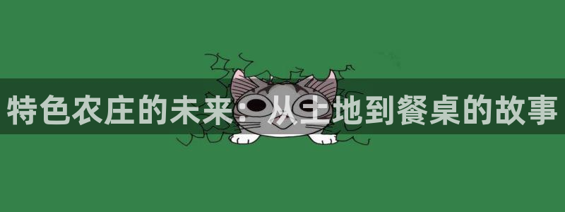 天辰娱乐内部