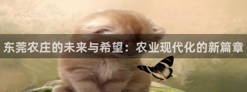 天辰娱乐675138