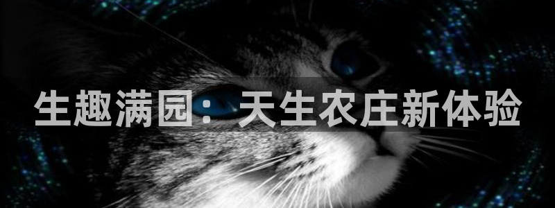 天富娱乐天辰娱乐