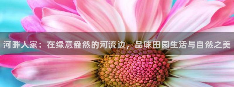 天辰娱乐平台入口