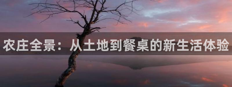 天辰团队贝高娱乐