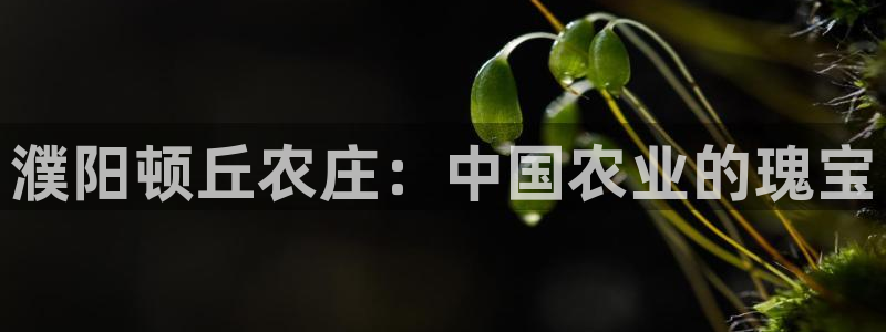 天辰娱乐指尖所